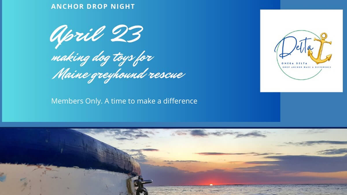 Anchor Drop for Maine Greyhounds.