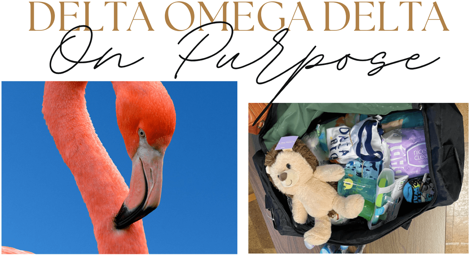 banner-flamingle-2025-lg Delta Omega Delta - the Picnic with Purpose